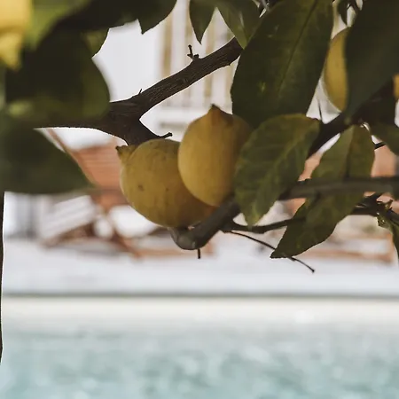 Le Sud ז'ואן-לה-פינס