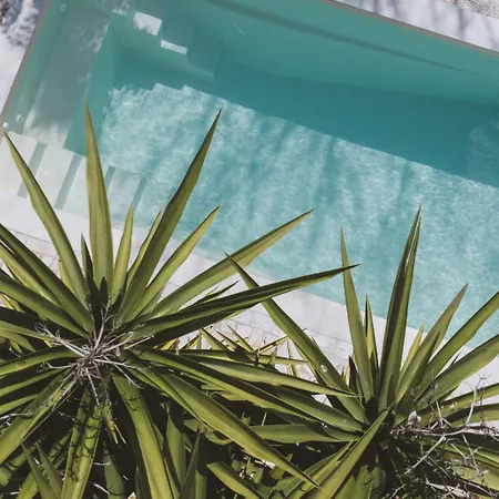 Le Sud מלון ז'ואן-לה-פינס